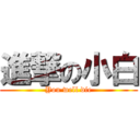 進撃の小白 (You well die)