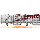 哔哩哔哩 (bilibili)