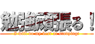 勉強頑張る！ (I will do my best at studying!)