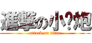 進撃の小钢炮 (attack on titan)