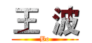 王  波 (Bo)