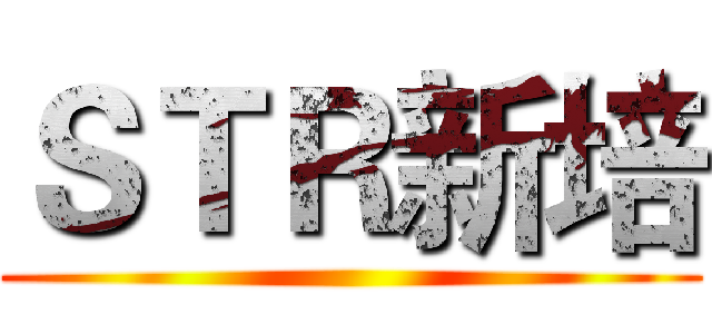 ＳＴＲ新培 ()