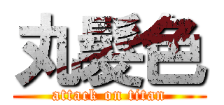 丸髮色 (attack on titan)