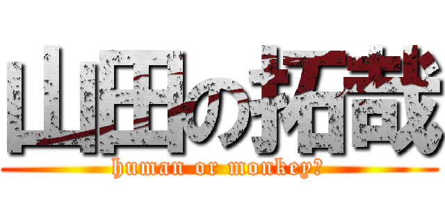 山田の拓哉 (human or monkey?)