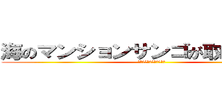 海のマンションサンゴが取り押さえ？ (サンゴ減少の真相に迫る！)