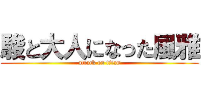 駿と大人になった風雅 (attack on titan)