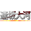 逢坂大河 (トラドラ)