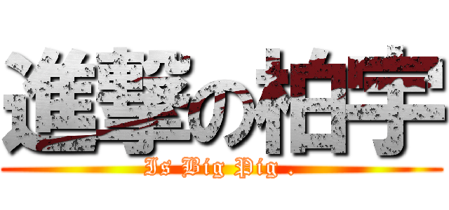 進撃の柏宇 (Is Big Pig .)