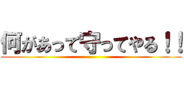 何があって守ってやる！！ ()