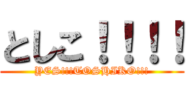 としこ！！！！ (YES!!!TOSHIKO!!!)