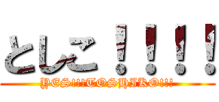 としこ！！！！ (YES!!!TOSHIKO!!!)