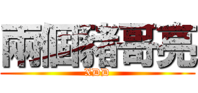 兩個豬哥亮 (XDD)