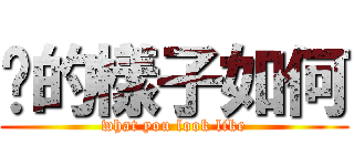 你的樣子如何 (what you look like)