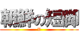 朝鮮の短脚 (V)