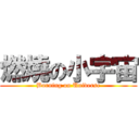 燃燒の小宇宙 (Burning on Universe)