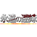 永遠の迷妹 (attack on titan)