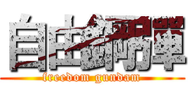 自由鋼彈 (freedom gundam)