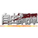 自由鋼彈 (freedom gundam)