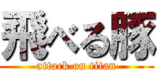 飛べる豚 (attack on titan)