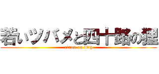 若いツバメと四十路の狸 (attack on 40th)