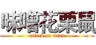 味噌花栗鼠 (attack on titan)