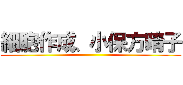 細胞作成、小保方晴子 ()