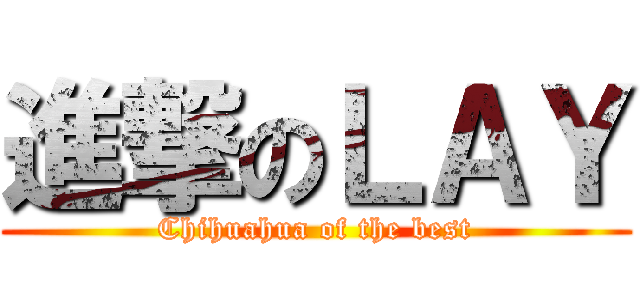 進撃のＬＡＹ (Chihuahua of the best)