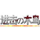 进击の木鸟 (attack on titan)
