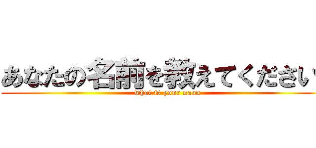 あなたの名前を教えてください！ (what is your name)