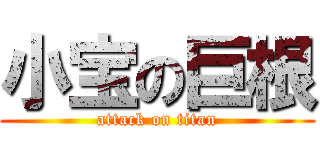 小宝の巨根 (attack on titan)