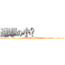 進撃の小傻        (GOOD LIKE)