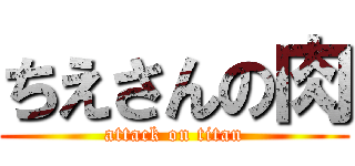ちえさんの肉 (attack on titan)