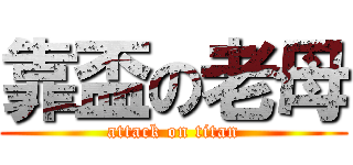 靠盃の老母 (attack on titan)