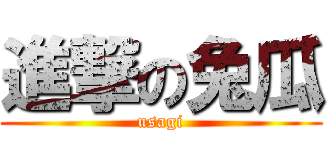 進撃の兔瓜 (usagi)