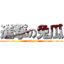 進撃の兔瓜 (usagi)