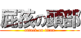 屁孩の頭部 (attack on titan)