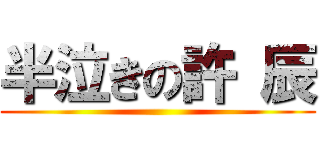 半泣きの許 辰 ()