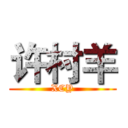 许村羊 (XCY)