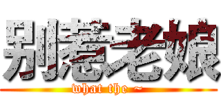 别惹老娘 (what the ~)