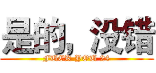 是的，没错 (FUCK YOU 24)