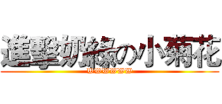 進擊奶綠の小菊花 (WWWWWW)