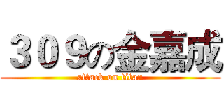 ３０９の金嘉成 (attack on titan)