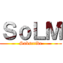 ＳｏＬＭ (Subscribe)