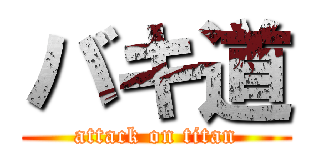 バキ道 (attack on titan)
