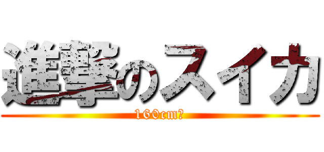 進撃のスイカ (160cm！)