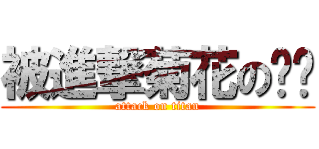 被進撃菊花の渐渐 (attack on titan)