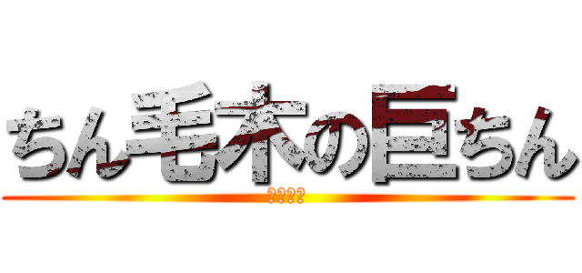ちん毛木の巨ちん (ちんこー)