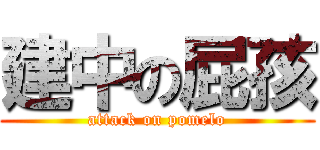 建中の屁孩 (attack on pomelo)
