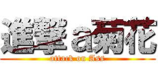 進撃ａ菊花 (attack on Ass)