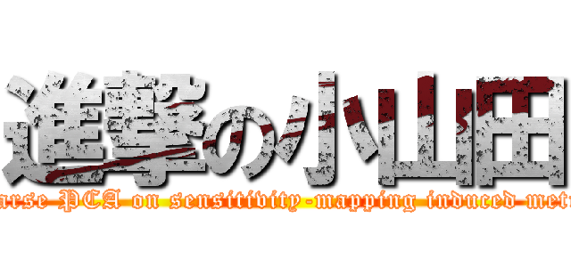 進撃の小山田 (Sparse PCA on sensitivity-mapping induced metric)